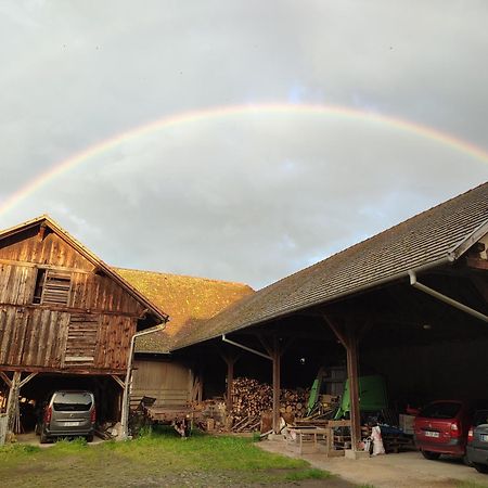 Chez Marguerite Gites A La Ferme Horbourg-Wihr Bagian luar foto