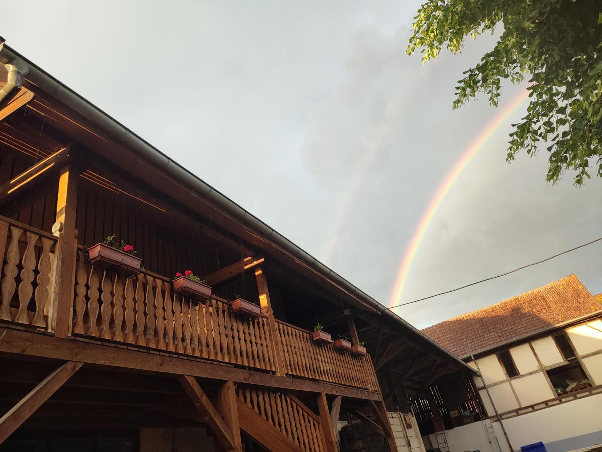 Chez Marguerite Gites A La Ferme Horbourg-Wihr Bagian luar foto