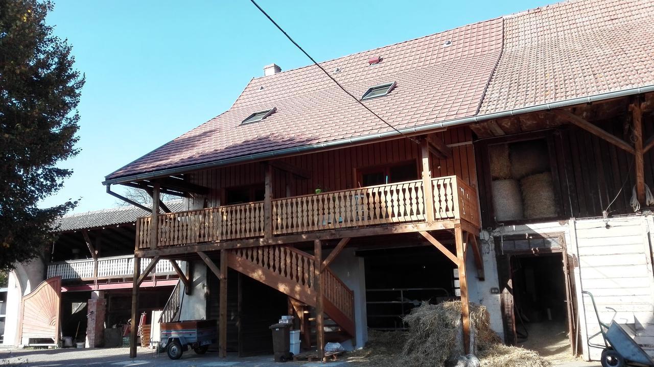 Chez Marguerite Gites A La Ferme Horbourg-Wihr Bagian luar foto